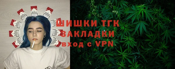 PSILOCYBIN Верхний Тагил